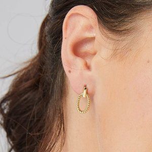 18K Gold Plated Oval Twist Earrings
